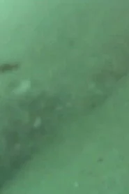 البحر