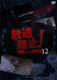 放送禁止！問題の心霊映像 12