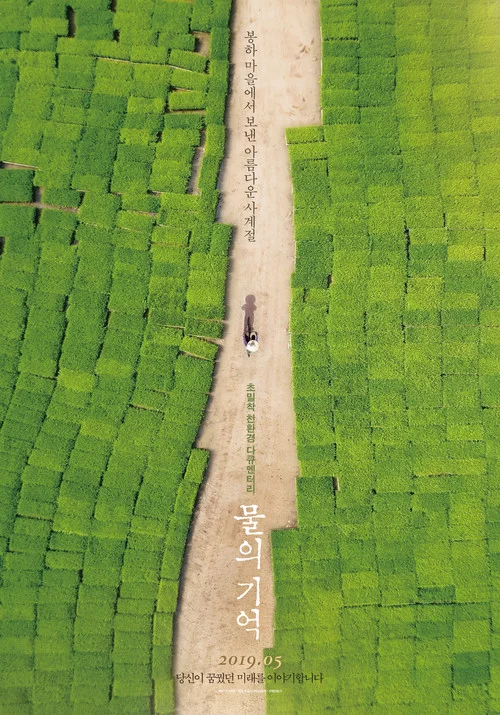 물의 기억
