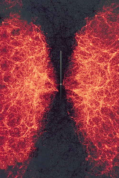 data-verse 1
