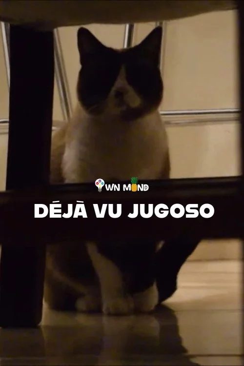 Deja vu jugoso