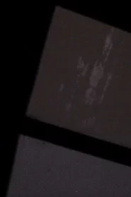 They Can Be Seen From A Distance