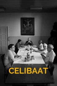 Celibaat