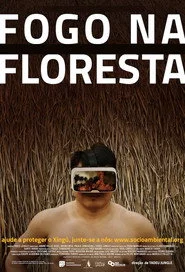 Fogo na Floresta