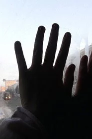 Кабанчик