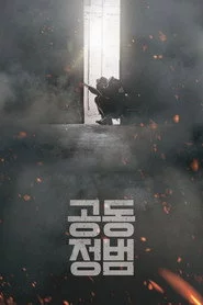 공동정범