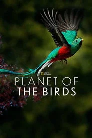 Planet of the Birds