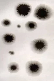 Animation from Poland Residence