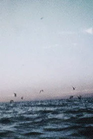 Ocean III