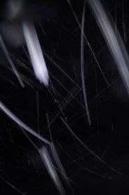 Inside the Microtubule