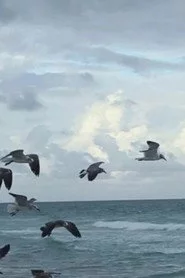 Flying to Nowhere
