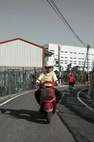 釘子花