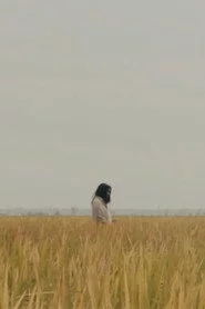 The Lost Piece