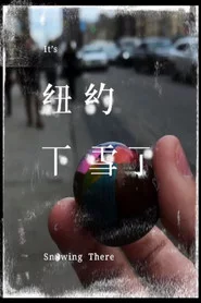 紐約下雪了