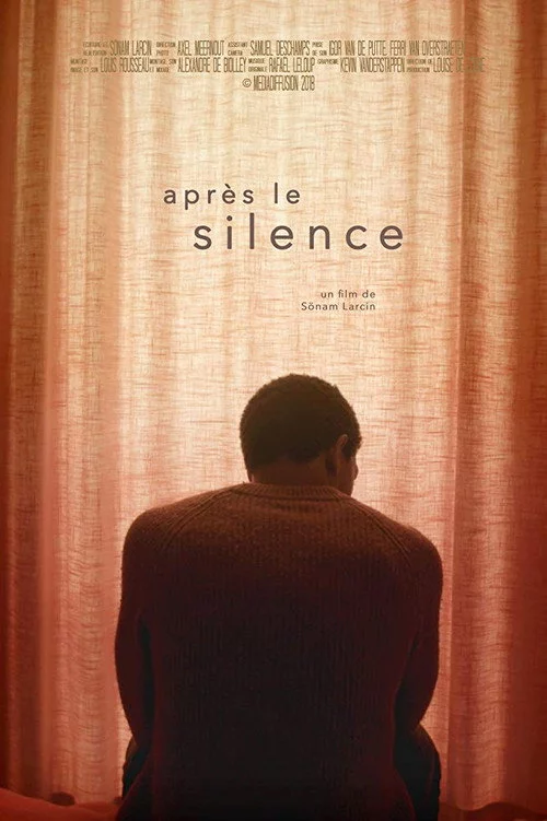 Après le silence