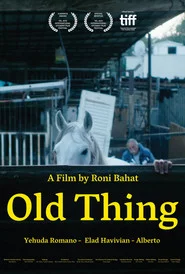 האלטעזאכן
