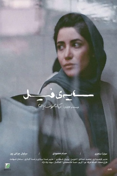 سایه‌ی فیل