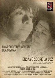 Ensayo Sobre la Luz