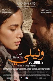وليلي