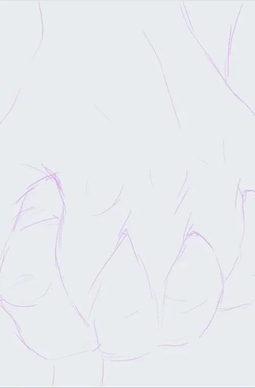 XX