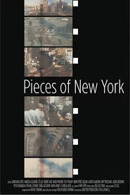 Pieces of New York