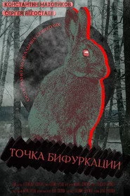Точка бифуркации