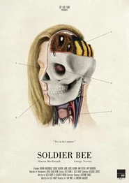 Soldier Bee