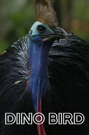 Dino Bird