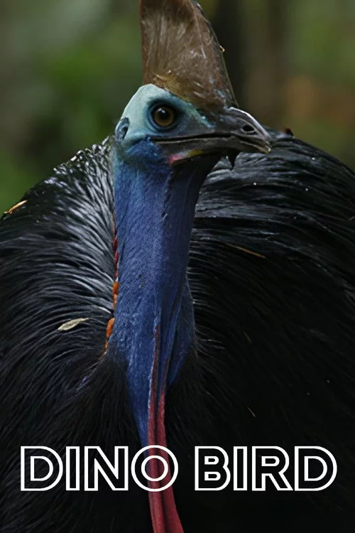 Dino Bird