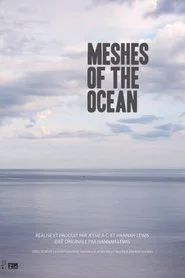 Meshes of the Ocean