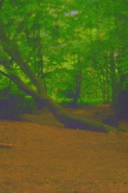 Fuck Tree