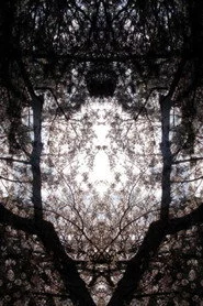 Concrescence