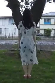 ダイジェスト