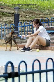 狗兒