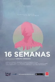16 semanas