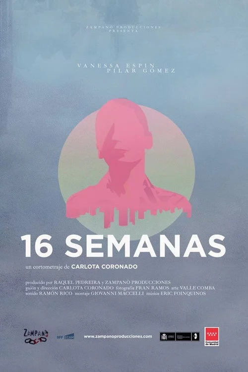 16 semanas