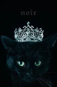 Aimer: Best Selection "noir" (Limited Edition Bonus)