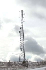 Cellular