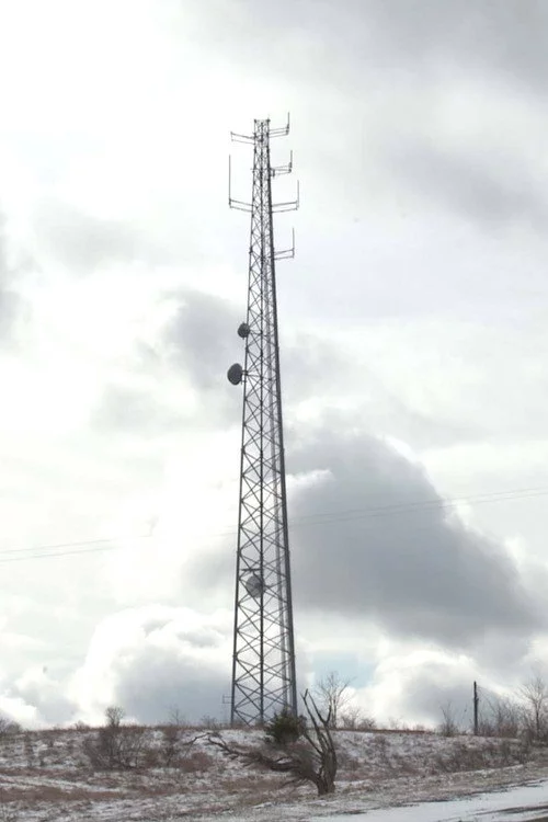 Cellular