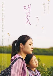 재꽃
