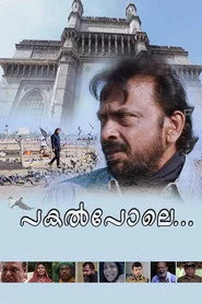 പകല്‍പോലെ...