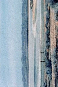 (100ft)
