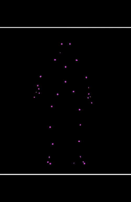 Network Reconstruction Of Nematode Symbionts