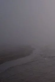 Niebla