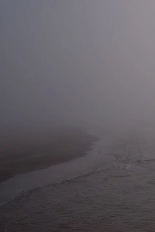 Niebla