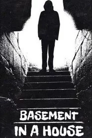 Basement in a House