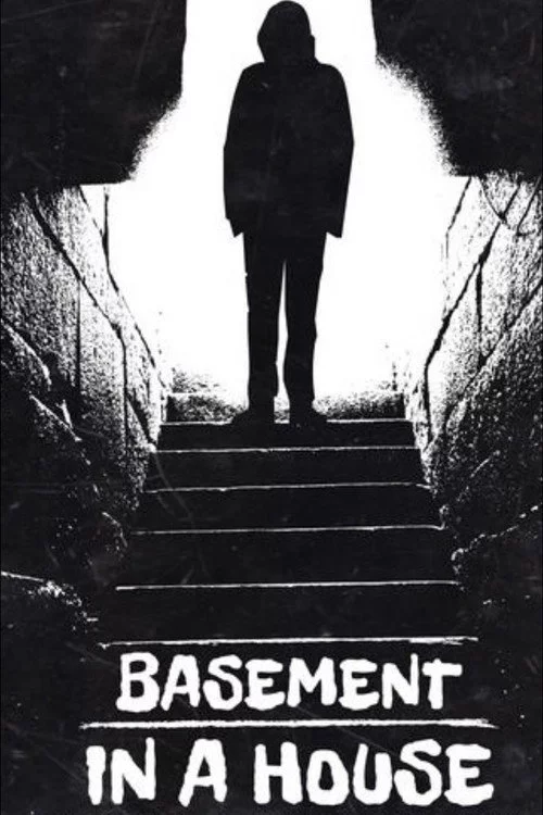 Basement in a House