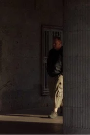 The Perfect Spectator