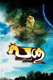 പശു