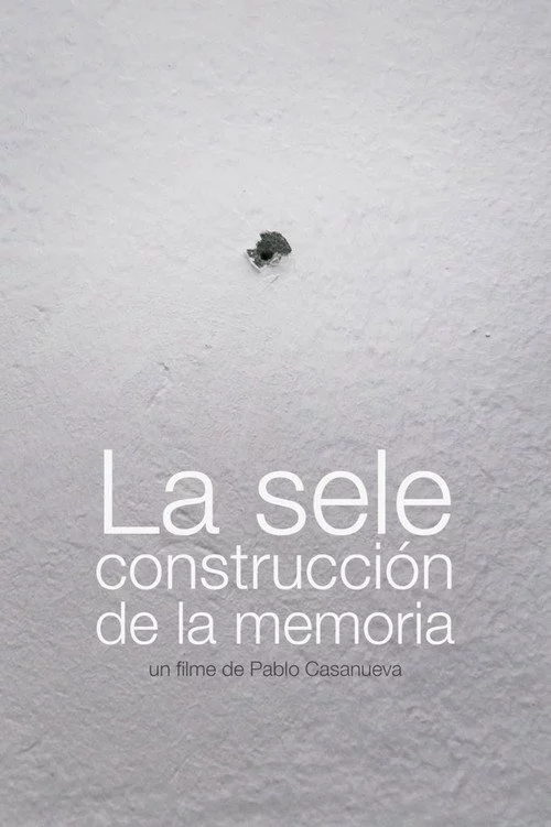 La sele construcción de la memoria
